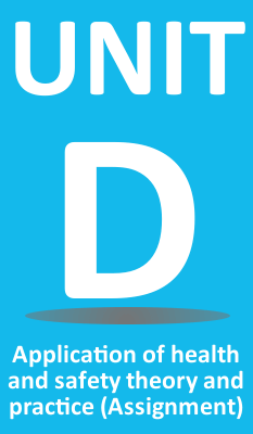 Nebosh diploma unit dni assignment example picture