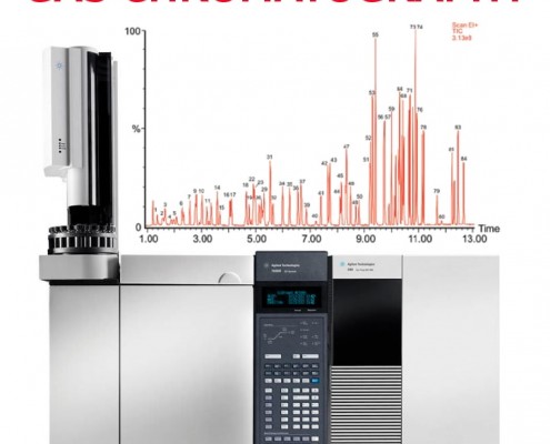 Gas chromatography emissions sampling