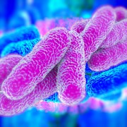 revised legionella acop