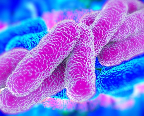 revised legionella acop