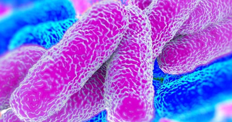 revised legionella acop