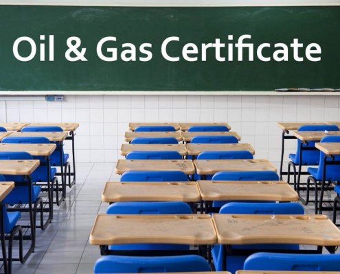 3 of our students attending our classroom oil gas course in south africa min