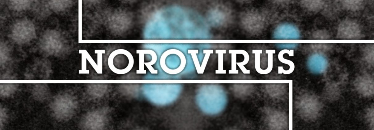 Sheilds eLearning Blog Header - NoroVirus