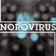 Sheilds eLearning Blog Header - NoroVirus