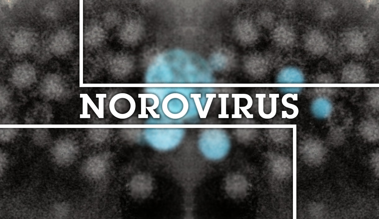 Sheilds eLearning Blog Header - NoroVirus