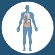 healthy habits Blog SHEilds