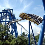 Theme Park Safety SHEilds Blog