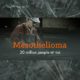 Mesothelioma 2017 Blog Header Image