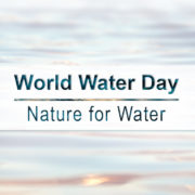 World Water Day Blog Image