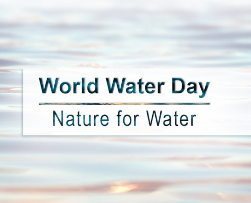 World Water Day Blog Image