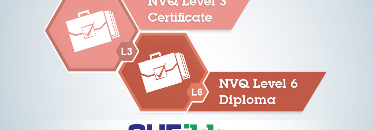 NVQ Level 3 and Level 6 Comparison