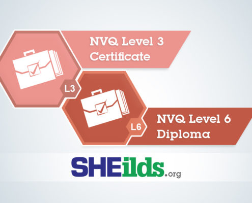 NVQ Level 3 and Level 6 Comparison