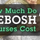 How much do NEBOSH courses cost?