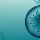 Corona Virus Header
