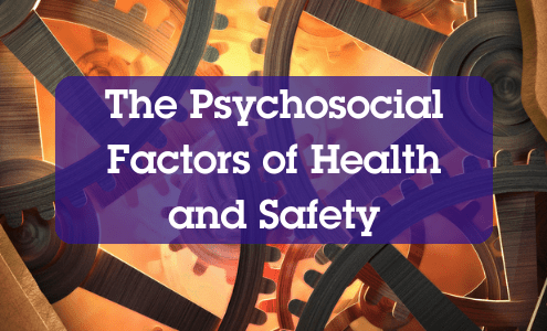 Psychosocial Factors of Health and Safety