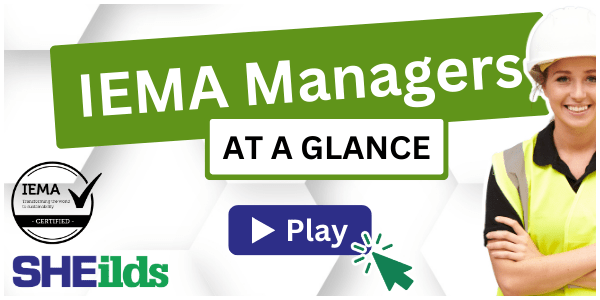 Play Video - IEMA Environmental Sustainability for Managers at a glance