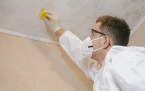Household Mould Management Course image